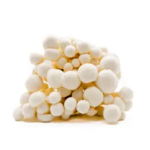 Fresh Alba mushrooms with white caps and crisp stems