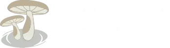Pebble Creek Produce is a gourmet mushroom and microgreen farm offering cultivated and foraged products to restaurants and chefs in Michigan and Ohio.