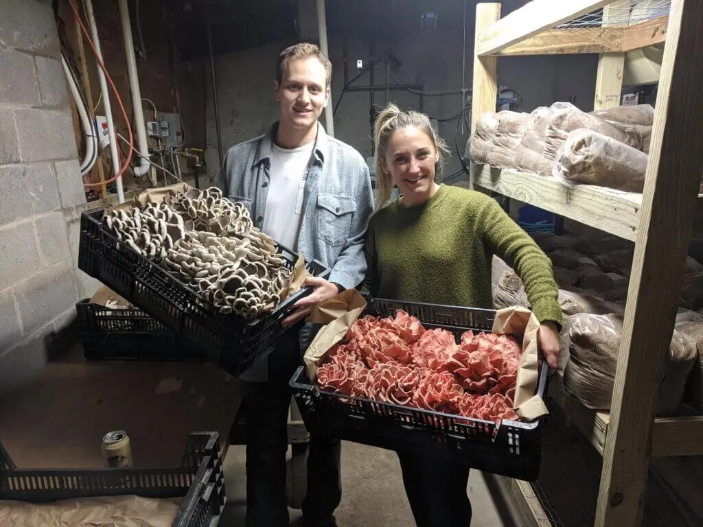 Pebble Creek team members holding gourmet mushrooms grown at their farm in Michigan from spawn bags.
