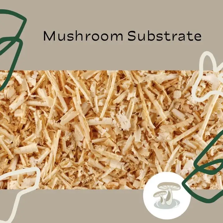 Pebble Creek Mushroom branded image with an example of wood chips as mushroom substrate.