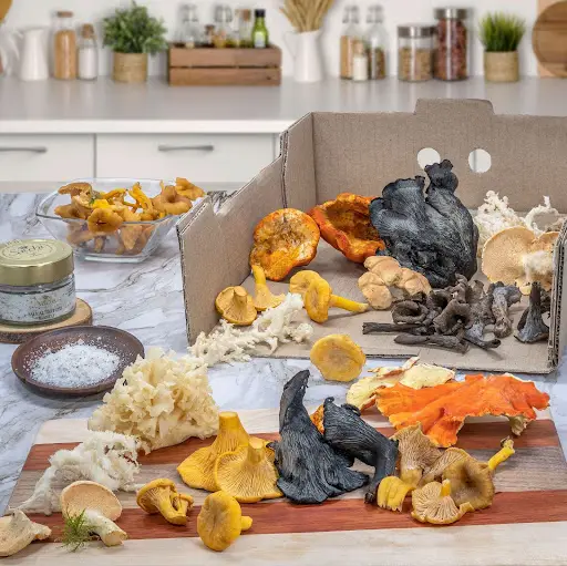 Various types of wild foraged mushrooms on a kitchen counter ready to be used in a chef’s dish.