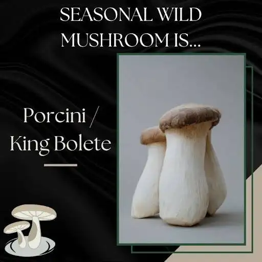 Black and beige background with Porcini, also known as King Bolete, mushrooms in a box on the right available from Pebble Creek Produce.