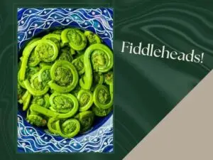 Green and beige background with Fiddlehead wild greens in a blue dish in an image on the left side.