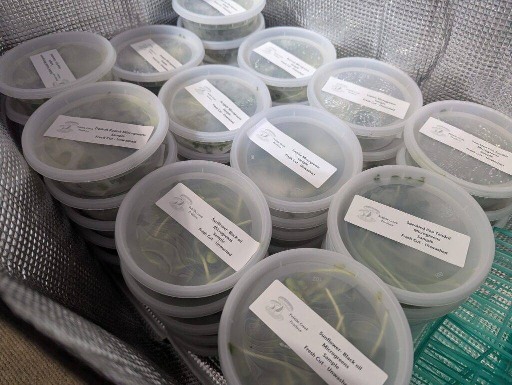 Sample packs of Pebble Creek Produce microgreens.