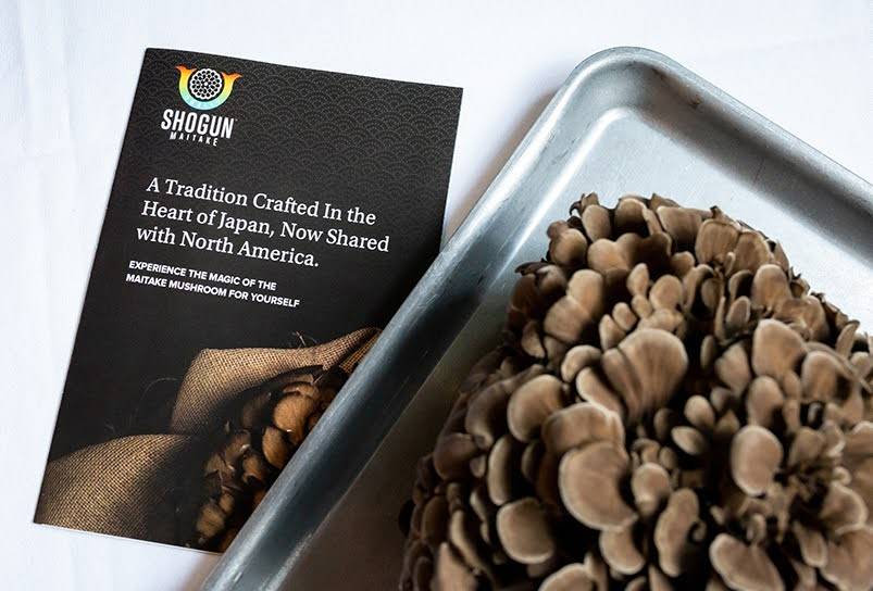 Shogun maitake mushroom on a sheet pan in the bottom right corner and to the left is a brochure titled “A Tradition Crafted in the Heart of Japan, Now Shared with North America.”